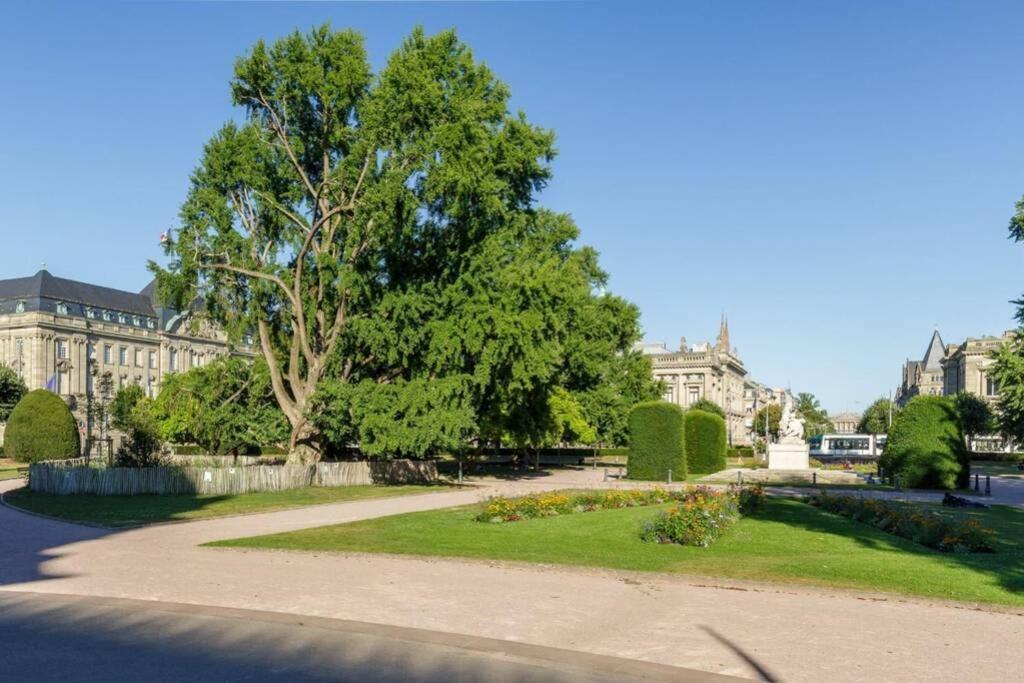 Magnifique Appartement Au Coeur De La Petite France Strasbourg Eksteriør bilde